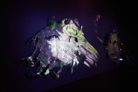 install photo of EARTH AD 2