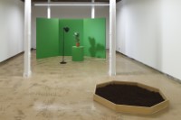 all flesh is grass image