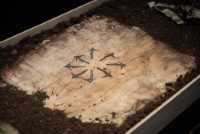 install photo of EARTH AD 